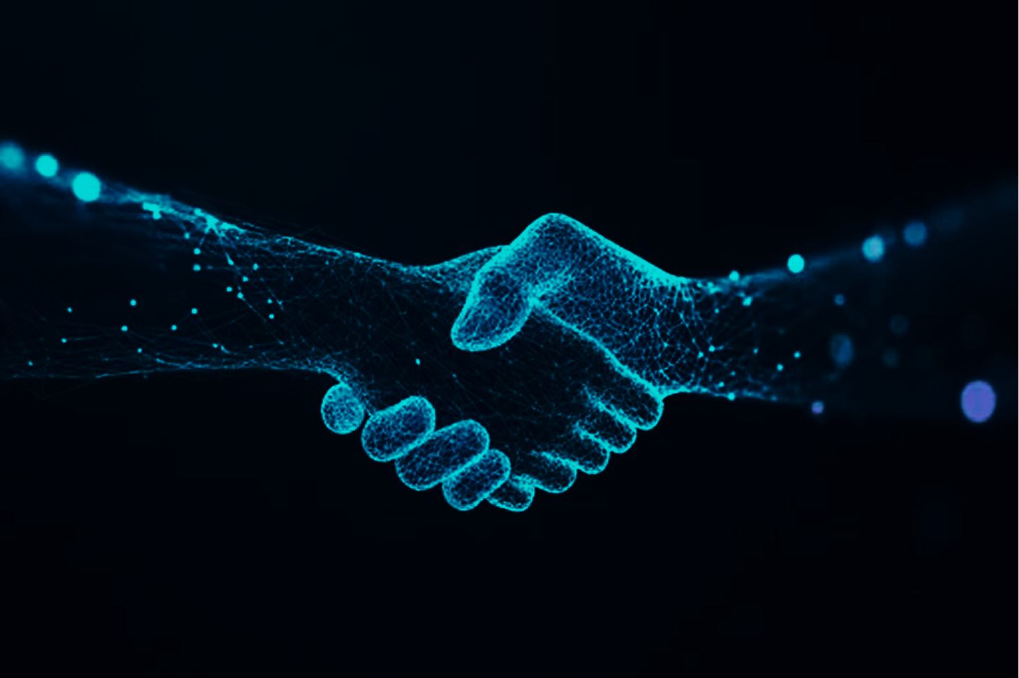 Transparent Partnerships image